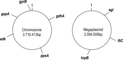 FIG. 1.