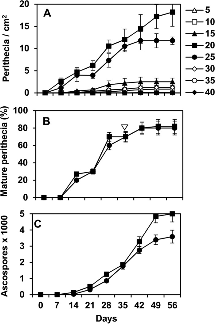 FIG 1