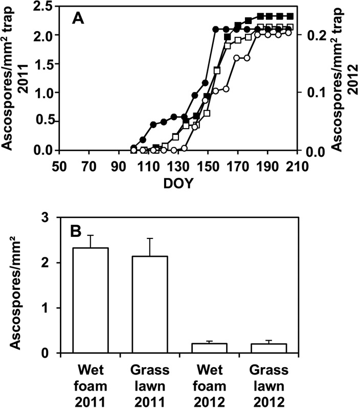 FIG 6