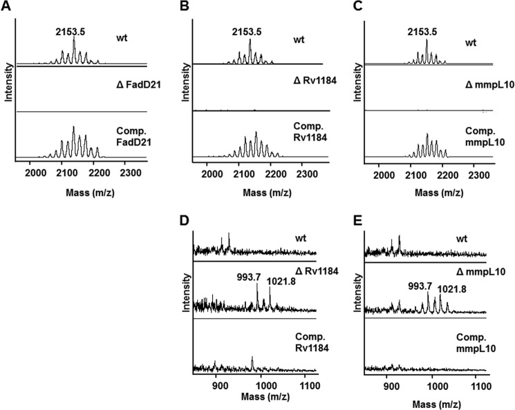 FIGURE 4.