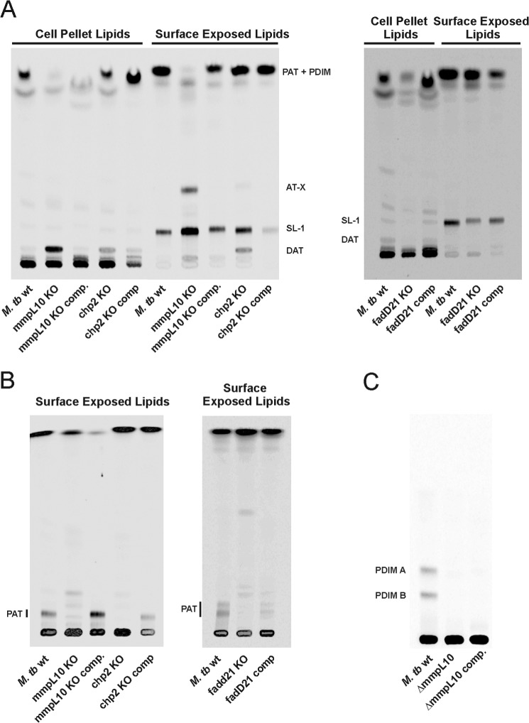 FIGURE 3.