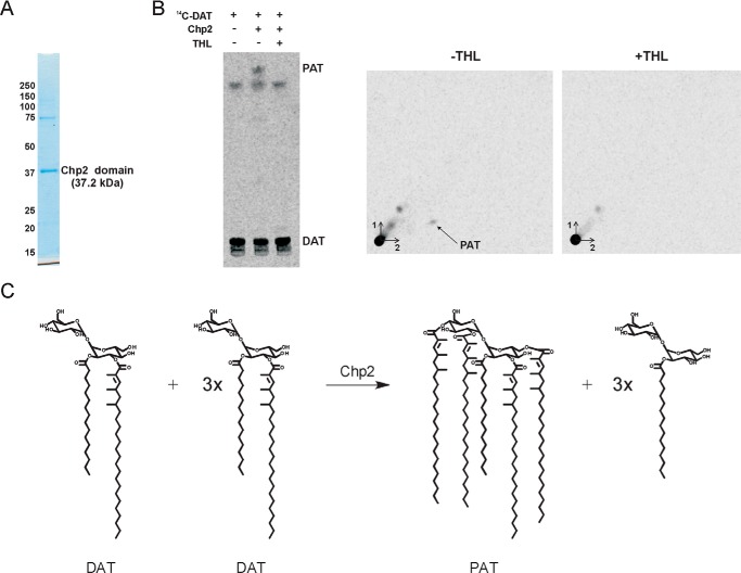 FIGURE 5.