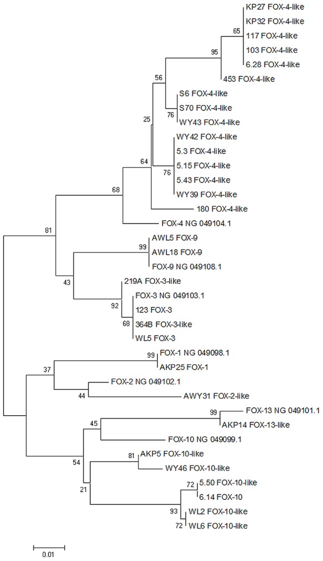 FIGURE 1