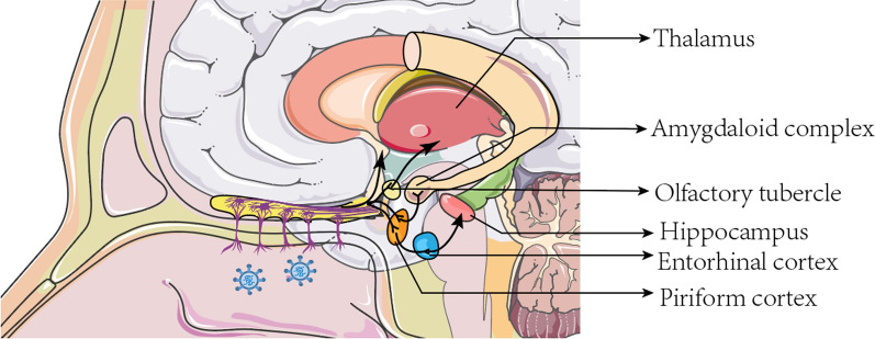 Fig. 2