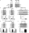 Figure 1.