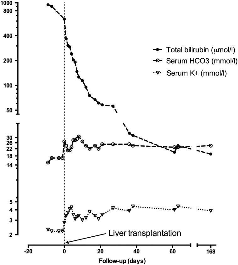 Fig. 1.