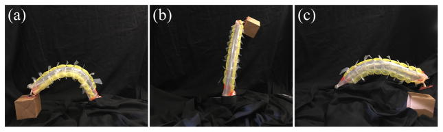 Fig. 12