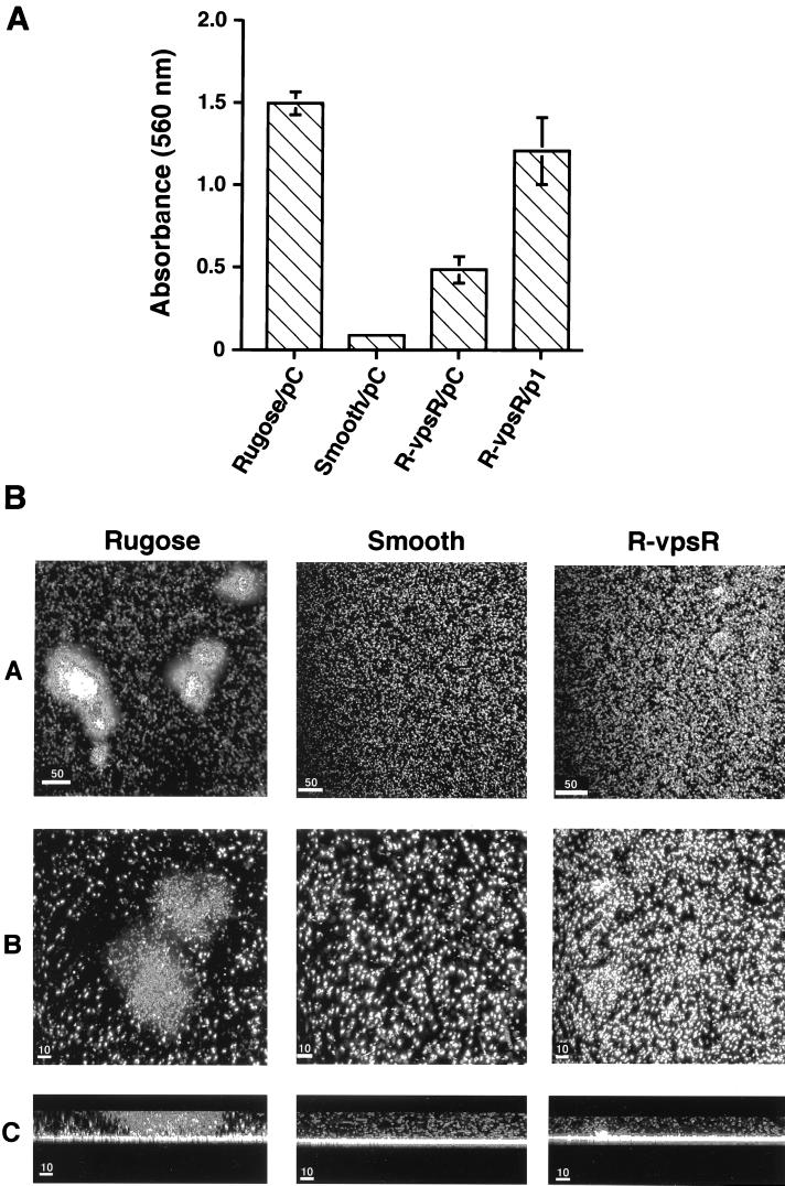 FIG. 3