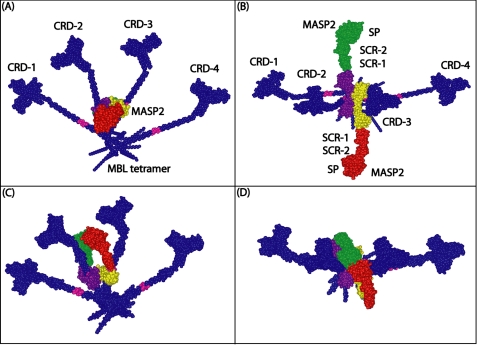 FIGURE 7.