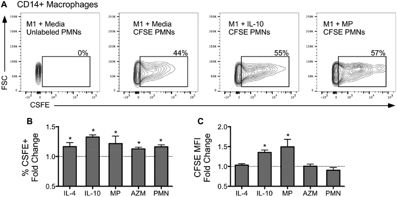 Figure 6.