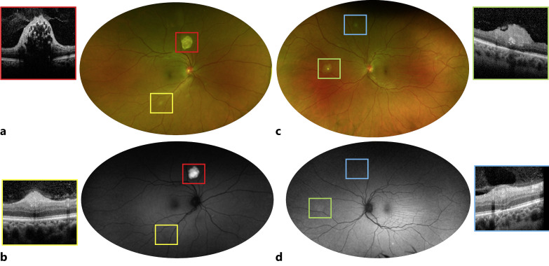 Fig. 1.