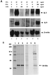 FIG. 8
