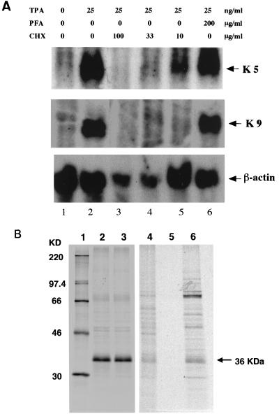 FIG. 8