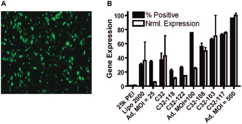 FIGURE 10