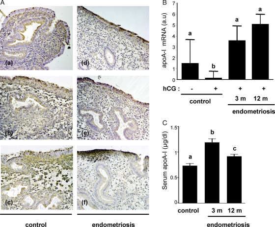 Figure 6