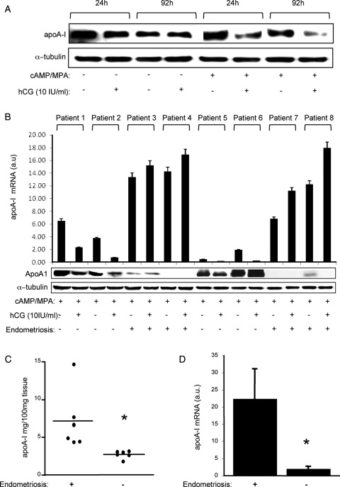 Figure 5