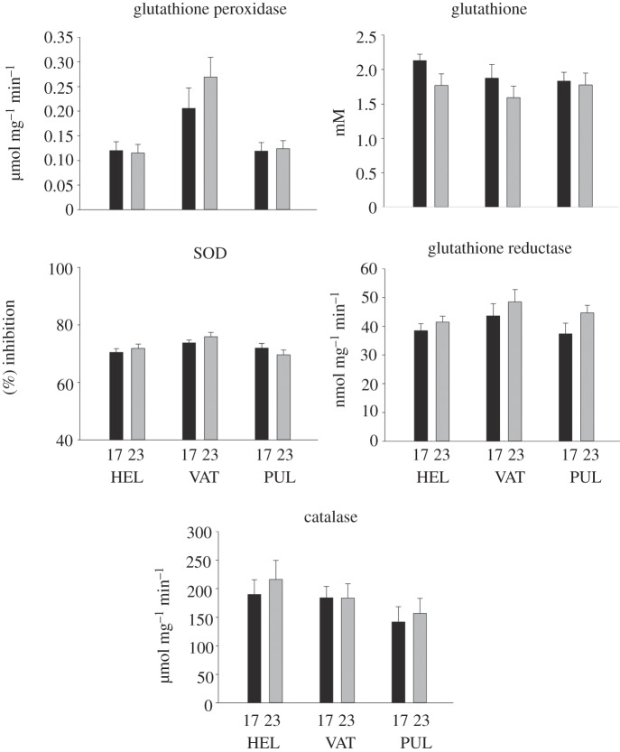 Figure 4.