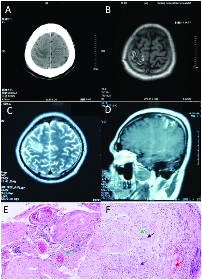 Figure 3.