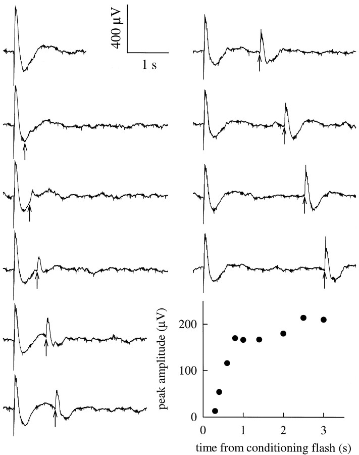 Fig. 3.