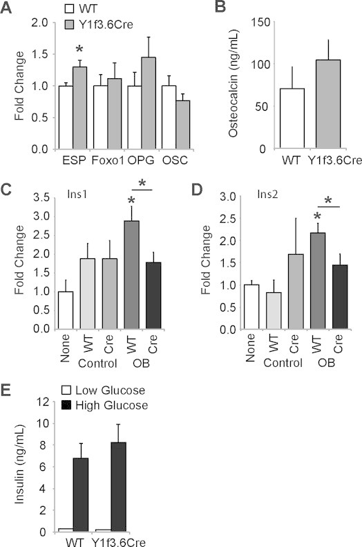 Figure 6