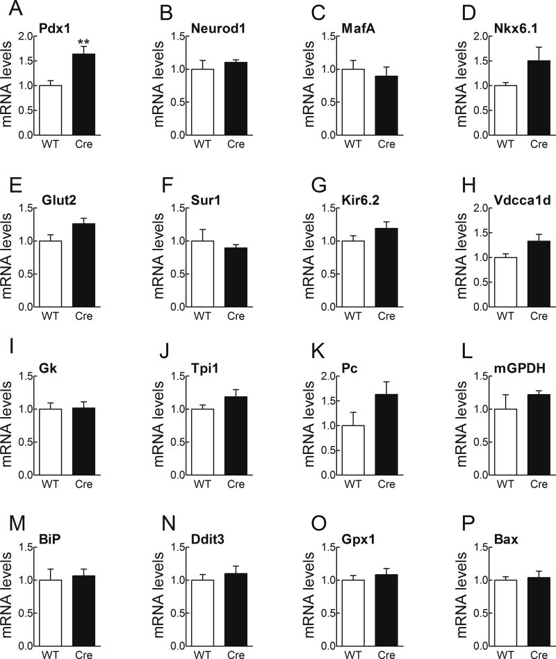 Supplementary Figure 3