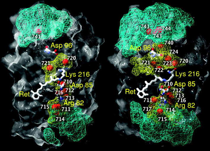 FIGURE 3