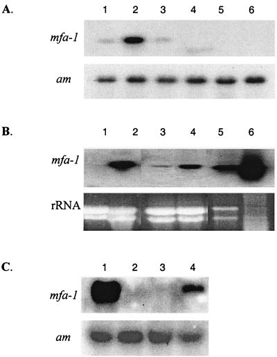 FIG. 5.