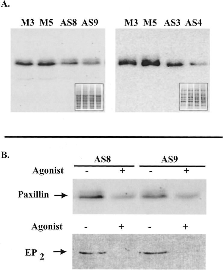 Figure 9.