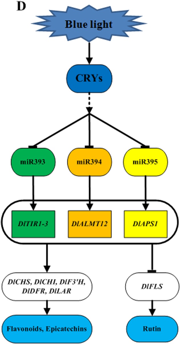 Fig 14