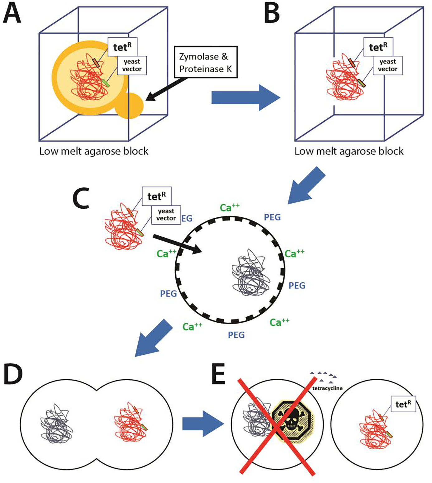 Figure 2.