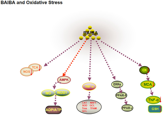 Figure 5