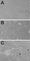 FIG. 6.