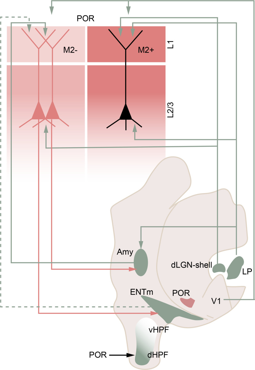 Figure 11.