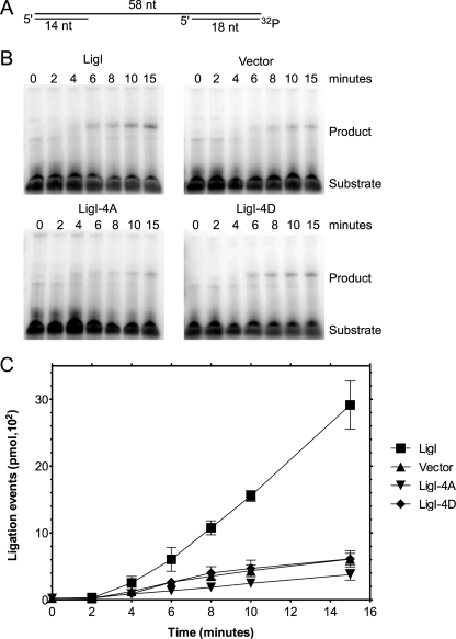 FIG. 6.