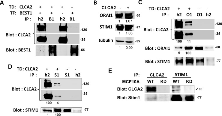 Fig 4