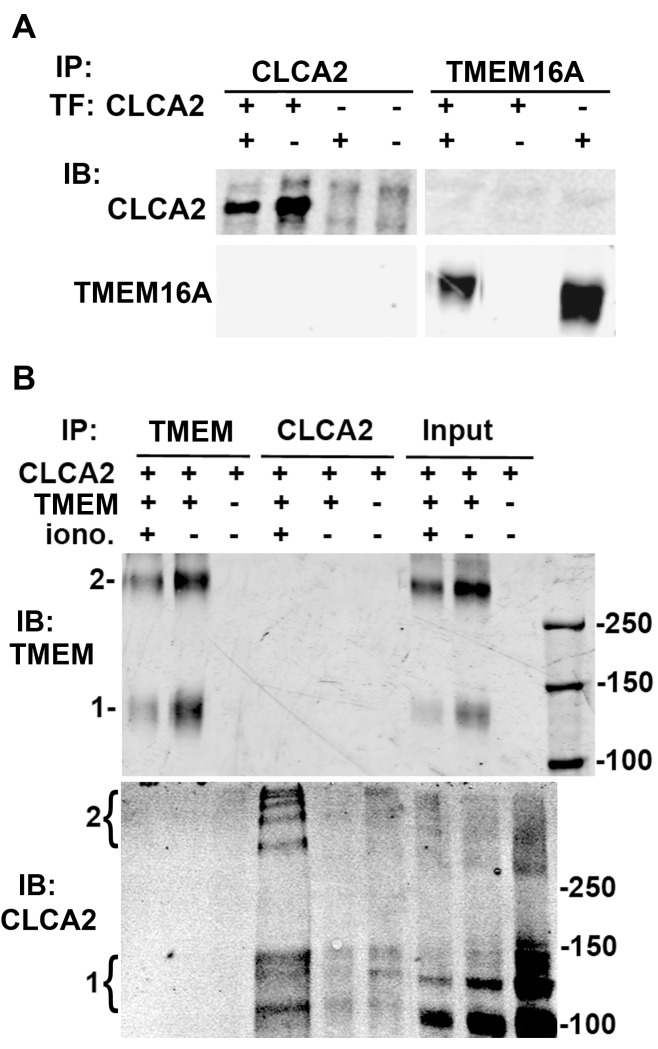 Fig 7