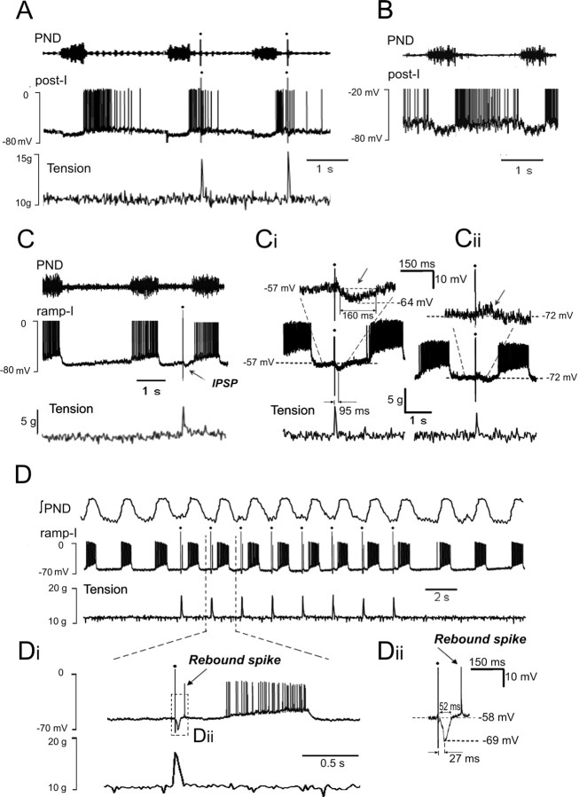 
Figure 9.
