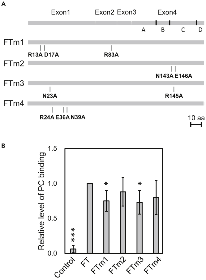 Figure 3