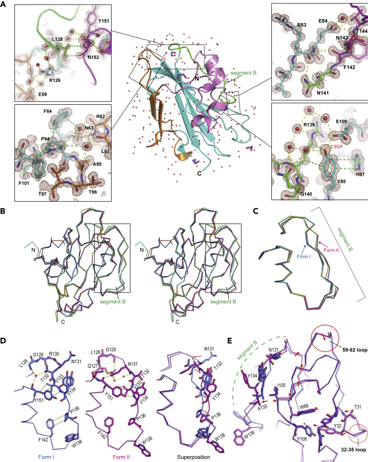 Figure 1