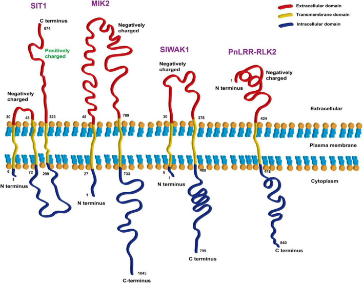 FIGURE 3