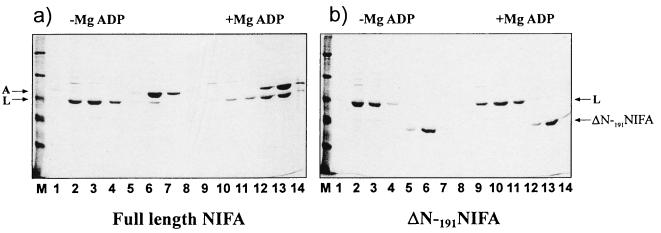 FIG. 3