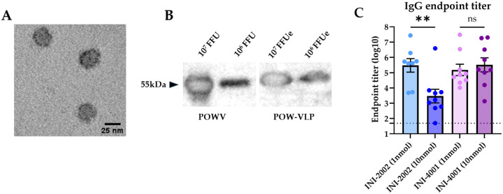 Fig 1.