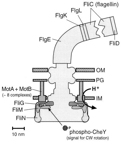 FIG. 5.