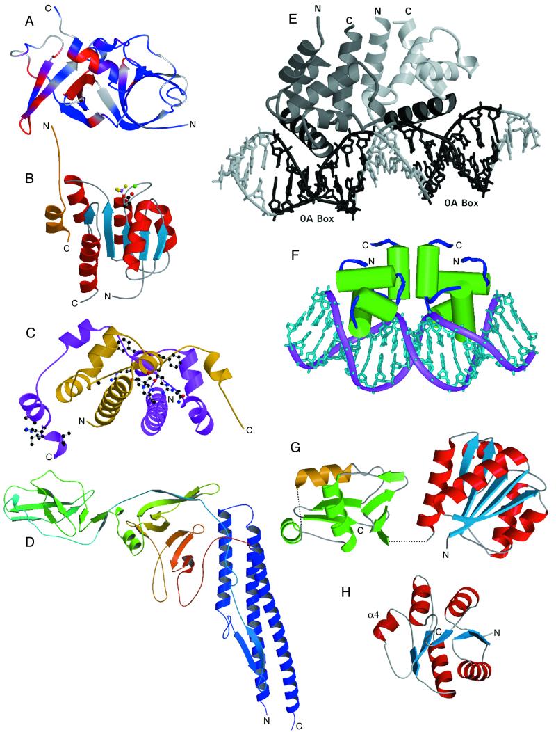 FIG. 4.