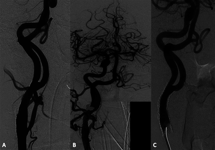 Figure 3