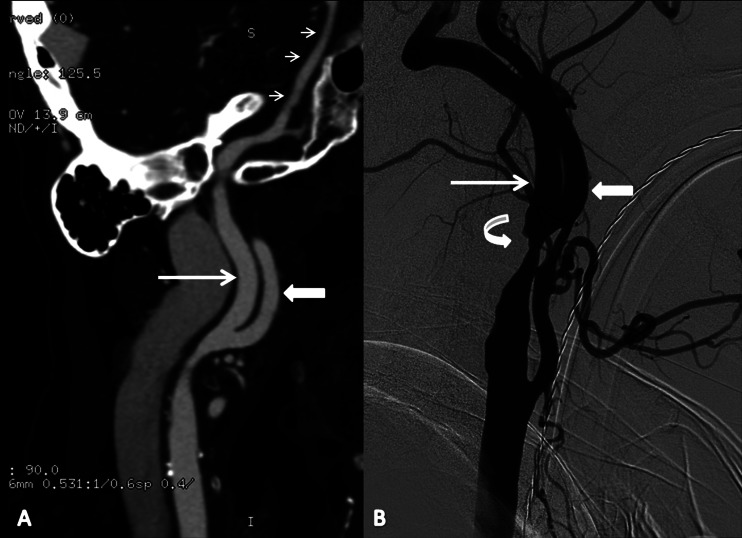 Figure 1