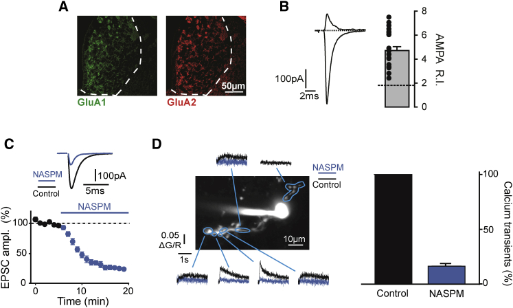 Figure 4