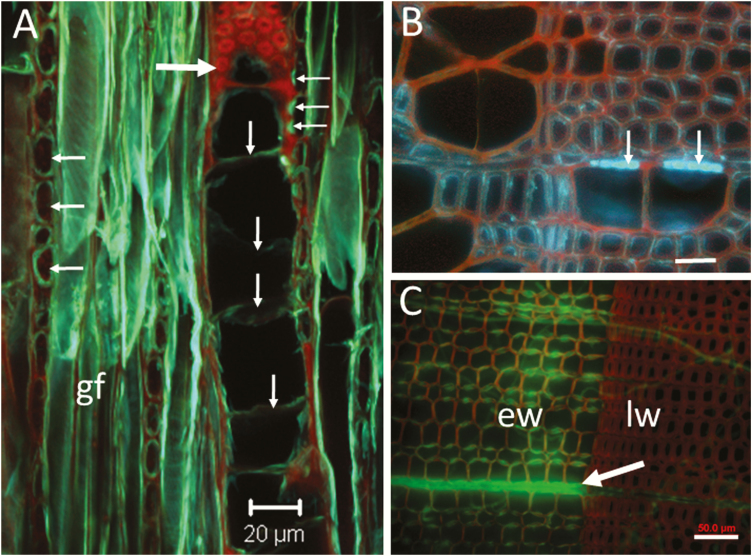 Figure 2.