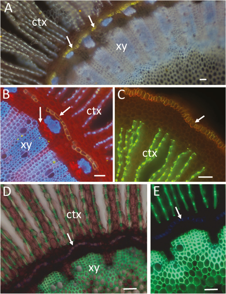 Figure 3.