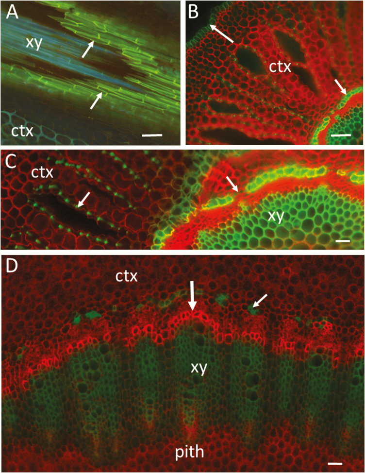 Figure 4.